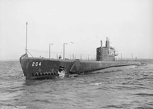 Black and white image of a partially submerged submarine with "204" on the hull