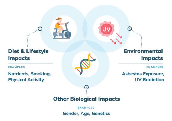 Several factors, including nutrition, can impact mesothelioma patients outcomes.